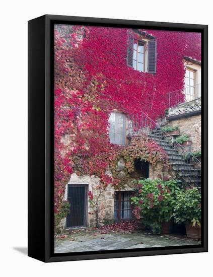 Italy, Tuscany, Volpaia. Red Ivy Covering the Walls of the Buildings-Julie Eggers-Framed Premier Image Canvas