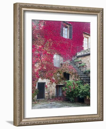 Italy, Tuscany, Volpaia. Red Ivy Covering the Walls of the Buildings-Julie Eggers-Framed Photographic Print