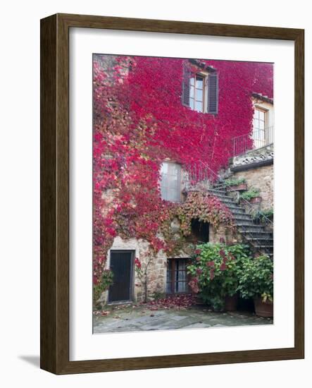 Italy, Tuscany, Volpaia. Red Ivy Covering the Walls of the Buildings-Julie Eggers-Framed Photographic Print