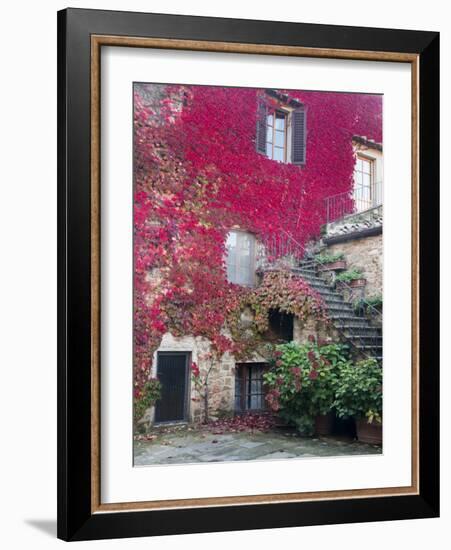 Italy, Tuscany, Volpaia. Red Ivy Covering the Walls of the Buildings-Julie Eggers-Framed Photographic Print