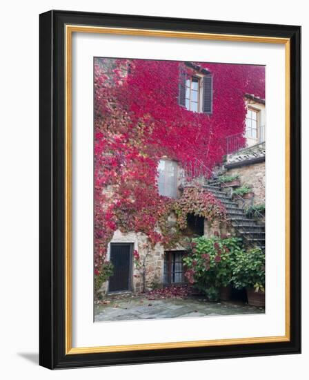 Italy, Tuscany, Volpaia. Red Ivy Covering the Walls of the Buildings-Julie Eggers-Framed Photographic Print