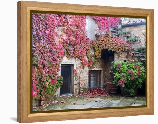 Italy, Tuscany, Volpaia. Red Ivy Covering the Walls of the Buildings-Julie Eggers-Framed Premier Image Canvas