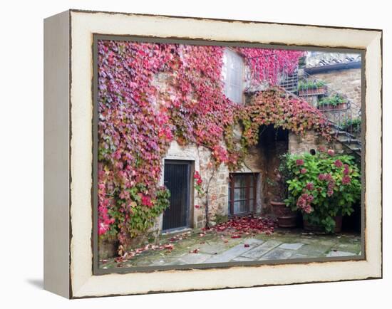 Italy, Tuscany, Volpaia. Red Ivy Covering the Walls of the Buildings-Julie Eggers-Framed Premier Image Canvas