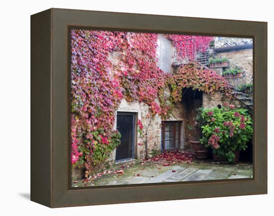 Italy, Tuscany, Volpaia. Red Ivy Covering the Walls of the Buildings-Julie Eggers-Framed Premier Image Canvas