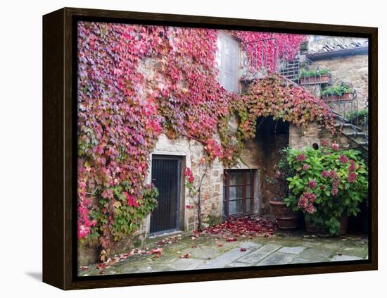 Italy, Tuscany, Volpaia. Red Ivy Covering the Walls of the Buildings-Julie Eggers-Framed Premier Image Canvas