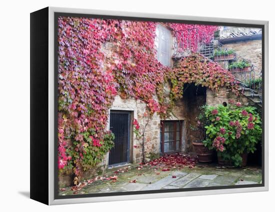 Italy, Tuscany, Volpaia. Red Ivy Covering the Walls of the Buildings-Julie Eggers-Framed Premier Image Canvas