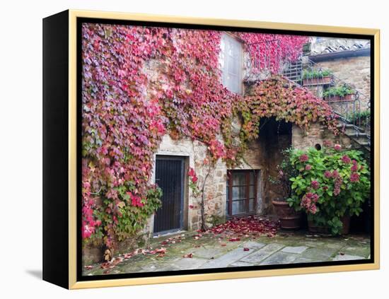 Italy, Tuscany, Volpaia. Red Ivy Covering the Walls of the Buildings-Julie Eggers-Framed Premier Image Canvas