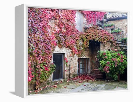 Italy, Tuscany, Volpaia. Red Ivy Covering the Walls of the Buildings-Julie Eggers-Framed Premier Image Canvas