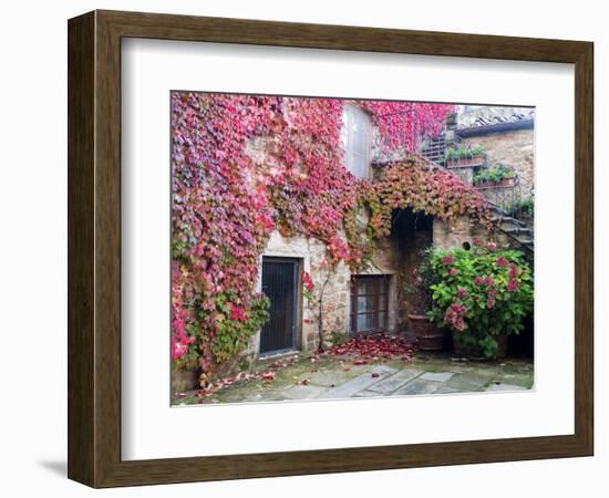 Italy, Tuscany, Volpaia. Red Ivy Covering the Walls of the Buildings-Julie Eggers-Framed Photographic Print