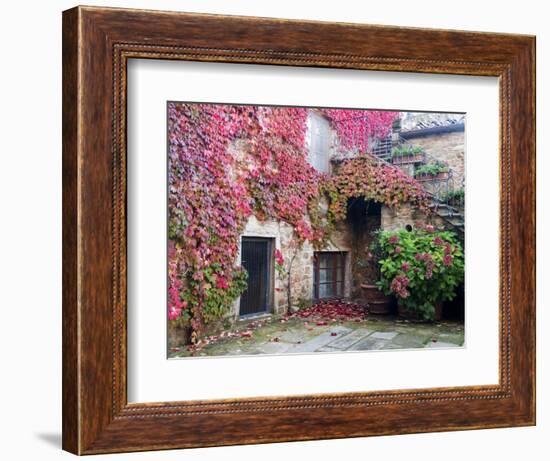 Italy, Tuscany, Volpaia. Red Ivy Covering the Walls of the Buildings-Julie Eggers-Framed Photographic Print