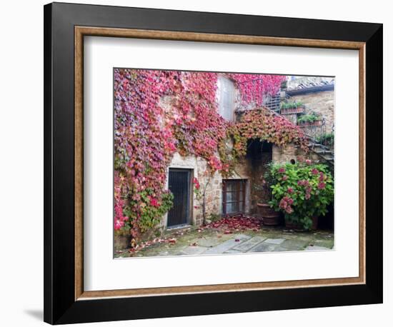 Italy, Tuscany, Volpaia. Red Ivy Covering the Walls of the Buildings-Julie Eggers-Framed Photographic Print