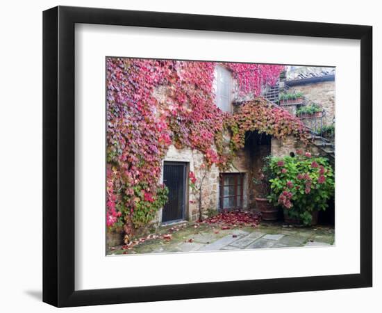 Italy, Tuscany, Volpaia. Red Ivy Covering the Walls of the Buildings-Julie Eggers-Framed Photographic Print