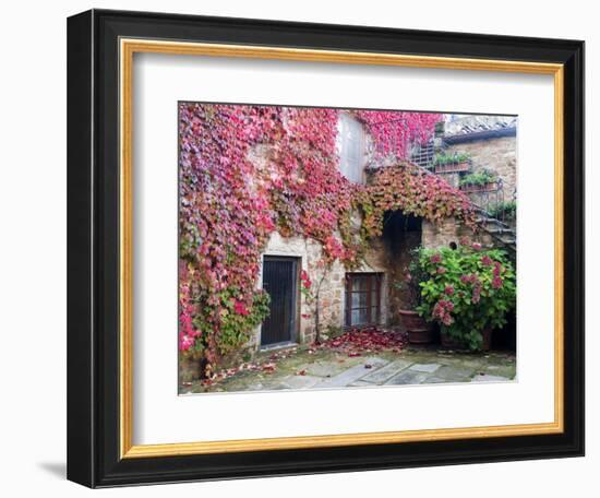 Italy, Tuscany, Volpaia. Red Ivy Covering the Walls of the Buildings-Julie Eggers-Framed Photographic Print