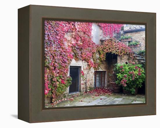 Italy, Tuscany, Volpaia. Red Ivy Covering the Walls of the Buildings-Julie Eggers-Framed Premier Image Canvas