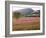 Italy, Umbria, Campi, a Field of Sainfoin Outside the Small and Ancient Village of Campi, Near Norc-Katie Garrod-Framed Photographic Print