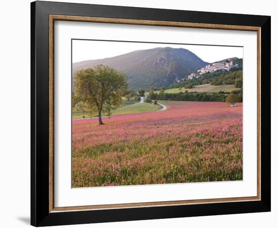 Italy, Umbria, Campi, a Field of Sainfoin Outside the Small and Ancient Village of Campi, Near Norc-Katie Garrod-Framed Photographic Print