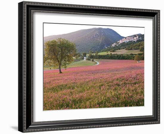 Italy, Umbria, Campi, a Field of Sainfoin Outside the Small and Ancient Village of Campi, Near Norc-Katie Garrod-Framed Photographic Print