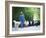 Italy, Umbria, Campi, a Shepherd Bringing His Flock Down from the Hills, with the Help of His Dogs-Katie Garrod-Framed Photographic Print