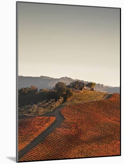 Italy, Umbria, Perugia District, Autumnal Vineyards Near Montefalco-Francesco Iacobelli-Mounted Photographic Print