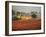 Italy, Umbria, Perugia District, Autumnal Vineyards Near Montefalco-Francesco Iacobelli-Framed Photographic Print