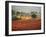 Italy, Umbria, Perugia District, Autumnal Vineyards Near Montefalco-Francesco Iacobelli-Framed Photographic Print