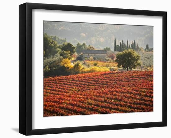 Italy, Umbria, Perugia District, Autumnal Vineyards Near Montefalco-Francesco Iacobelli-Framed Photographic Print