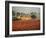 Italy, Umbria, Perugia District, Autumnal Vineyards Near Montefalco-Francesco Iacobelli-Framed Photographic Print