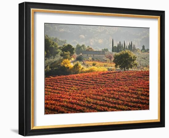 Italy, Umbria, Perugia District, Autumnal Vineyards Near Montefalco-Francesco Iacobelli-Framed Photographic Print