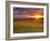 Italy, Umbria, Perugia District, Autumnal Vineyards Near Montefalco-Francesco Iacobelli-Framed Photographic Print