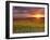 Italy, Umbria, Perugia District, Autumnal Vineyards Near Montefalco-Francesco Iacobelli-Framed Photographic Print