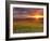 Italy, Umbria, Perugia District, Autumnal Vineyards Near Montefalco-Francesco Iacobelli-Framed Photographic Print