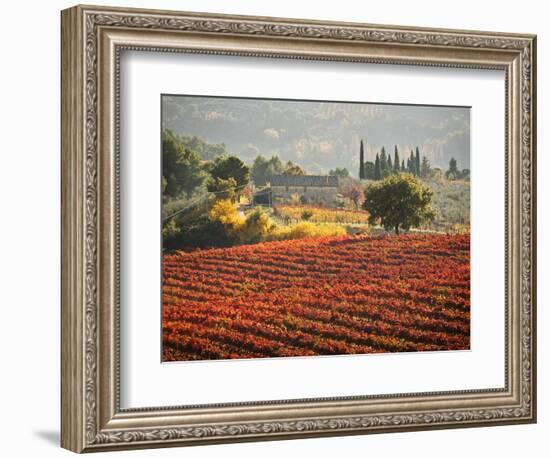 Italy, Umbria, Perugia District, Autumnal Vineyards Near Montefalco-Francesco Iacobelli-Framed Photographic Print