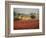 Italy, Umbria, Perugia District, Autumnal Vineyards Near Montefalco-Francesco Iacobelli-Framed Photographic Print