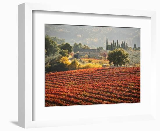 Italy, Umbria, Perugia District, Autumnal Vineyards Near Montefalco-Francesco Iacobelli-Framed Photographic Print