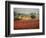 Italy, Umbria, Perugia District, Autumnal Vineyards Near Montefalco-Francesco Iacobelli-Framed Photographic Print