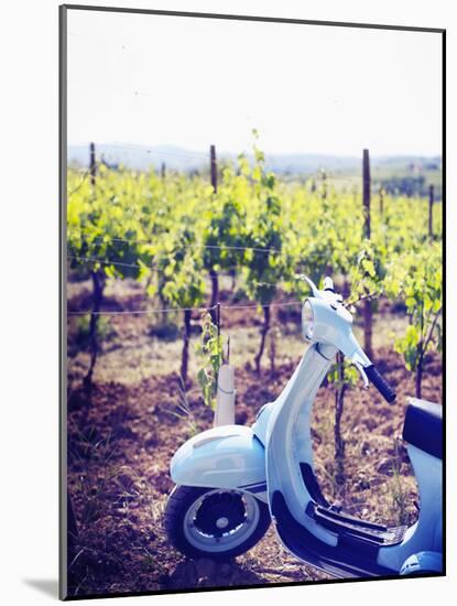 Italy, Umbria, Perugia District, Montefalco, Vespa Scooter in Vineyard-Francesco Iacobelli-Mounted Photographic Print
