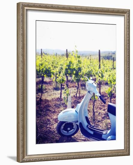 Italy, Umbria, Perugia District, Montefalco, Vespa Scooter in Vineyard-Francesco Iacobelli-Framed Photographic Print