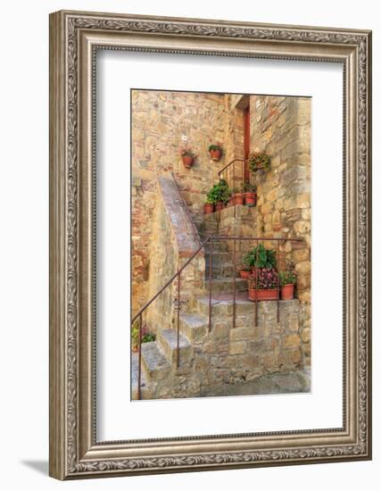 Italy, Val d'Orcia in Tuscany, province of Siena, Monticchiello. Stairs with potted flowers.-Emily Wilson-Framed Photographic Print