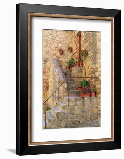 Italy, Val d'Orcia in Tuscany, province of Siena, Monticchiello. Stairs with potted flowers.-Emily Wilson-Framed Photographic Print