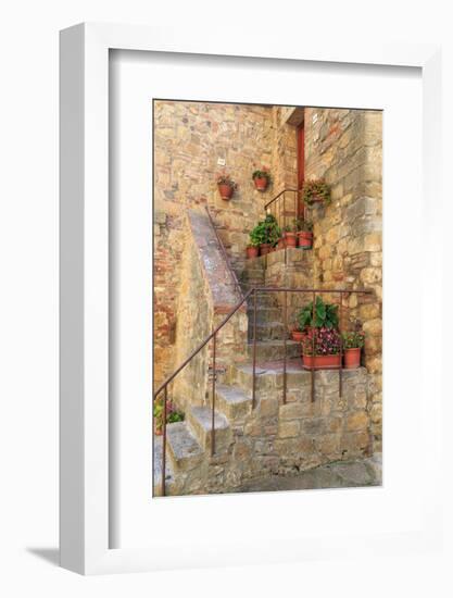 Italy, Val d'Orcia in Tuscany, province of Siena, Monticchiello. Stairs with potted flowers.-Emily Wilson-Framed Photographic Print