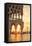 Italy, Veneto, Venice. Sunrise over Piazzetta San Marco and Doges Palace-Matteo Colombo-Framed Premier Image Canvas