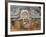 Italy, Venice, Ca' Rezzonico-null-Framed Giclee Print