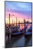 Italy, Venice. Gondolas Moored on Riva Degli Schiavoni at Sunrise-Matteo Colombo-Mounted Photographic Print