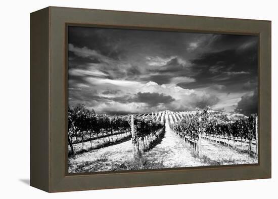 Italy-Maciej Duczynski-Framed Premier Image Canvas