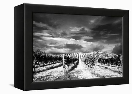 Italy-Maciej Duczynski-Framed Premier Image Canvas