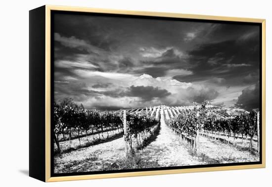 Italy-Maciej Duczynski-Framed Premier Image Canvas