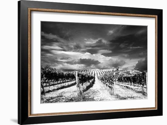 Italy-Maciej Duczynski-Framed Photographic Print