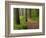 Itasca State Park, Minnesota, USA-Peter Hawkins-Framed Photographic Print