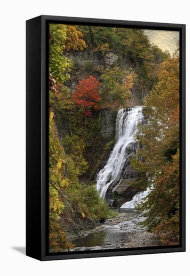 Ithaca Falls-Jessica Jenney-Framed Premier Image Canvas