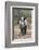 Ithuba, Thula Thula Rhino Orphanage, Kwazulu-Natal-Ann & Steve Toon-Framed Photographic Print